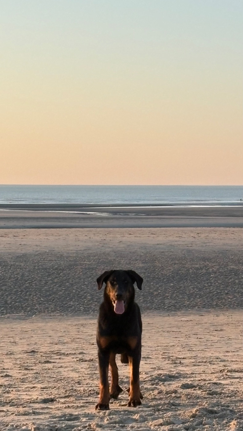 All my life Les Pensées Du Soleil